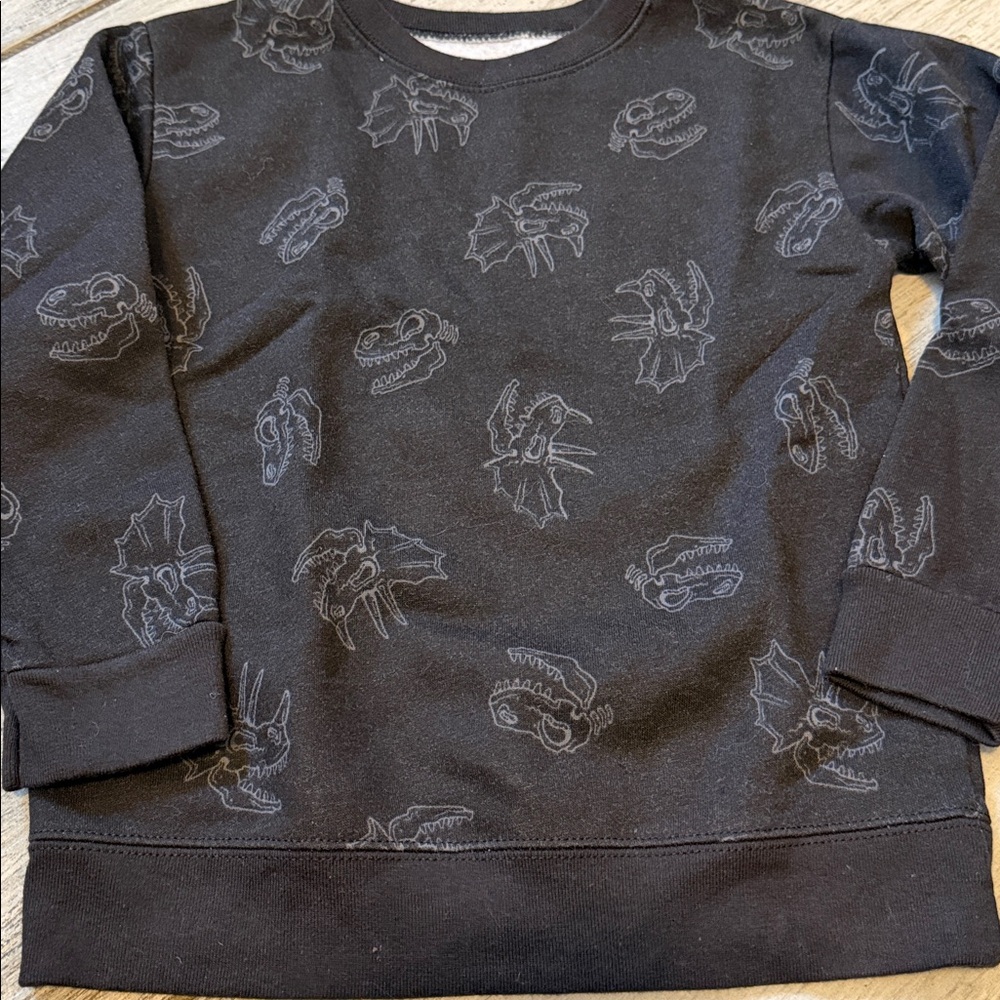 Dino Dinosaur faces fleece black sweatshirt 5T